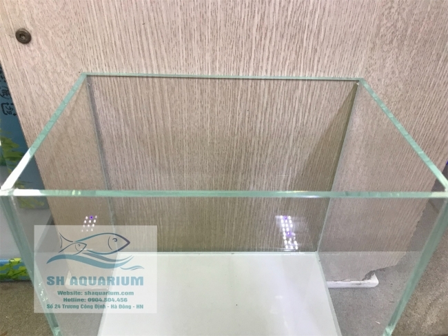 Bể siêu trong 23.15.22cm