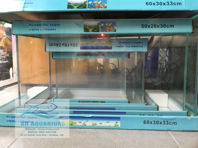 BỂ SIÊU TRONG 60.30.36cm