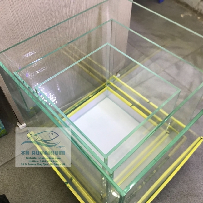 Bể cubic 20cm siêu trong