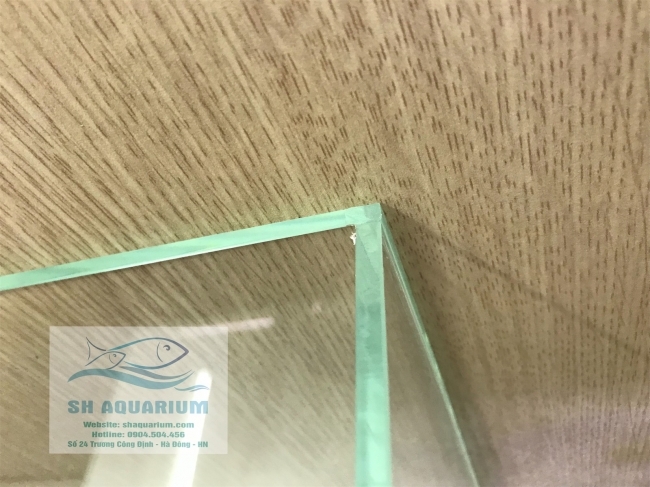 Bể cubic 20cm siêu trong
