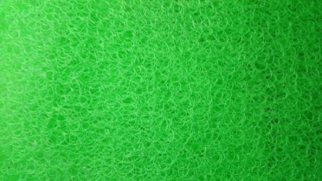 Bùi Nhùi Moutain Tree (50cm x 50 cm) (Jmat)