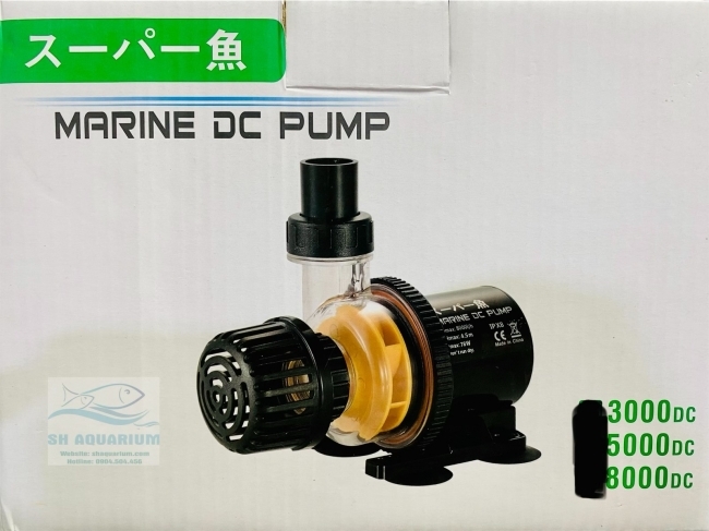 Máy Bơm Marine DC 8000