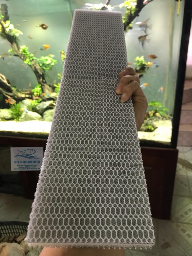 Bông 6D thế hệ mới 50.11.2cm