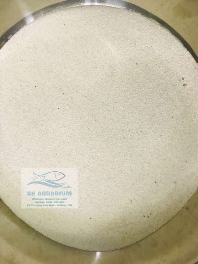 Cát trắng hạt mịn