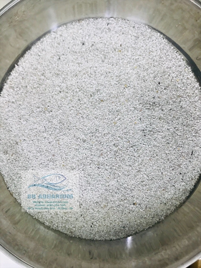 Cát trắng hạt to