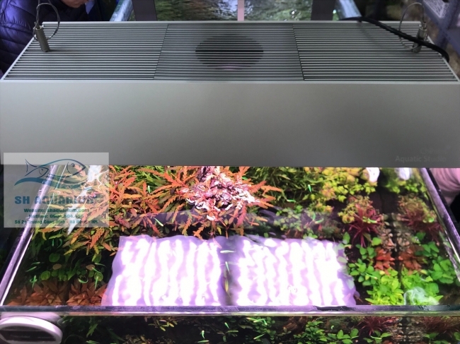 Đèn Led Chihiros RGB Vivid 2 Bản 10th