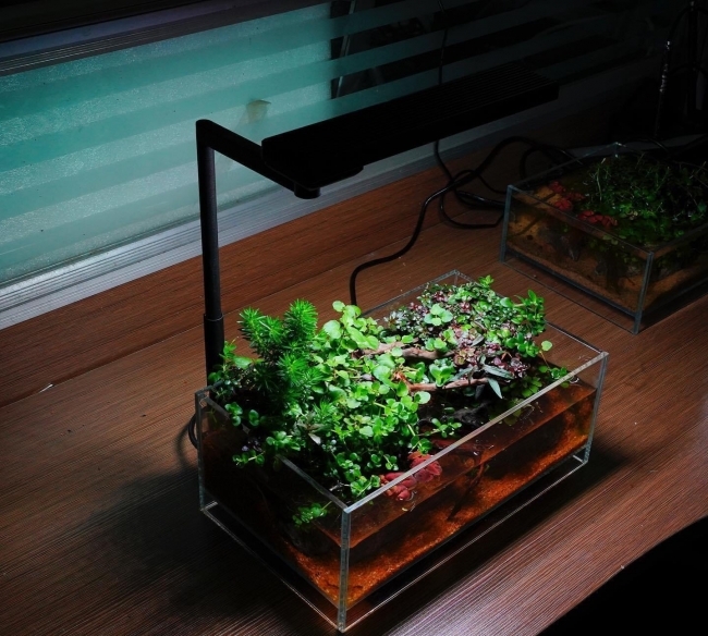 Đèn Chihiros C2 RGB
