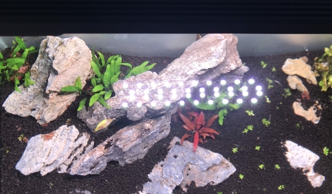 Đèn Chihiros C2 RGB
