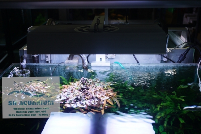 Đèn Led Cao Cấp  Chihiros X400