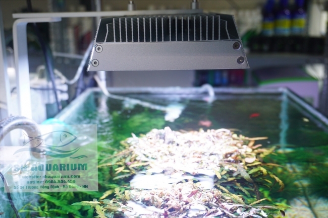 Đèn Led Cao Cấp  Chihiros X400