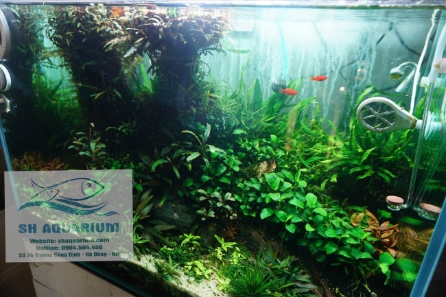 Đèn Led Cao Cấp  Chihiros X400