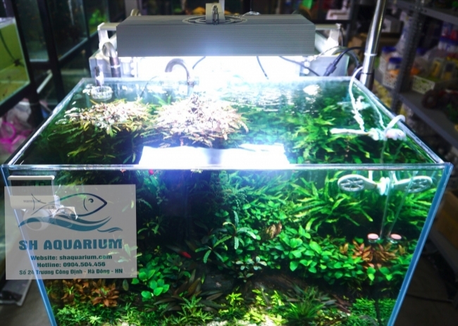 Đèn Led Cao Cấp  Chihiros X400