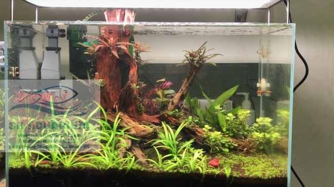 ĐÈN CHIHIROS WRGB2 90CM