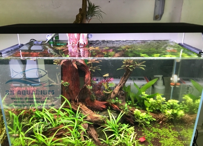 ĐÈN CHIHIROS WRGB2 90CM