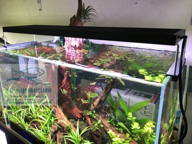 ĐÈN CHIHIROS WRGB2 90CM