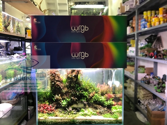 ĐÈN CHIHIROS WRGB2 90CM