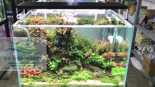 Đèn Chihiros WRGB2 60cm