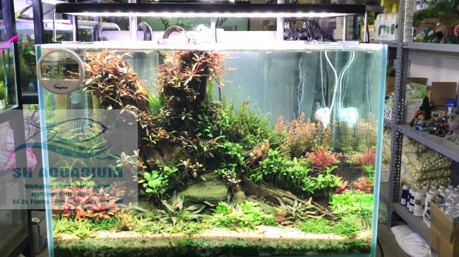 Đèn Chihiros WRGB2 60cm