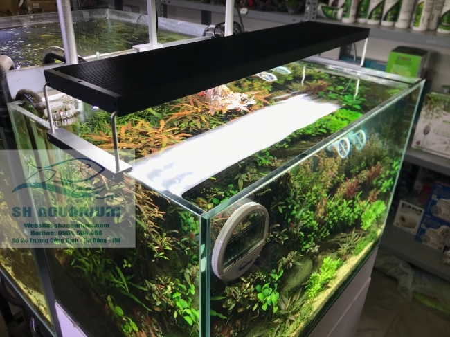 Đèn Chihiros WRGB2 60cm