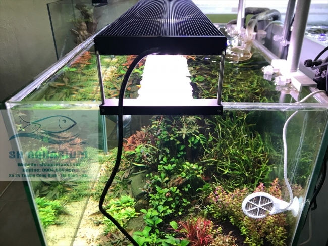 Đèn Chihiros WRGB2 60cm