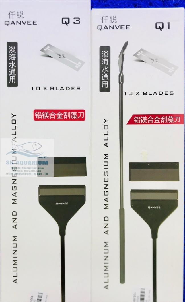 DAO CẠO RÊU QUANVEE Q3