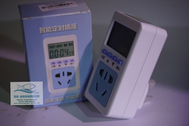 Hẹn giờ điện tử KWD T09