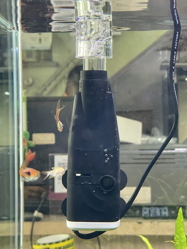 Lọc váng có đầu xoay Marine