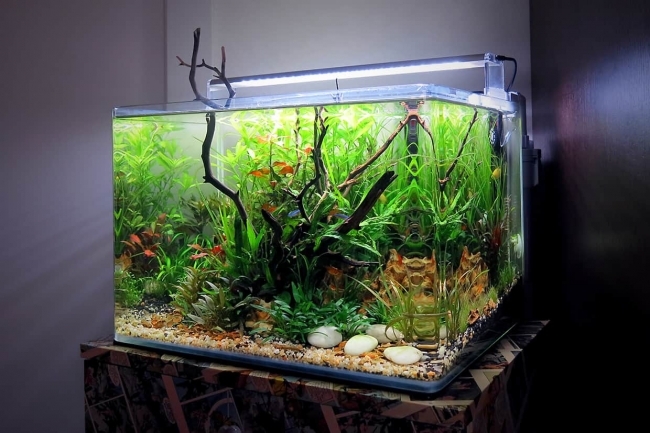 ĐÈN LED CHIHIROS A SERIA 901