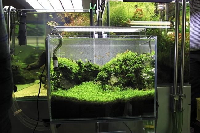 Đèn Led Chihiros A Seria 301