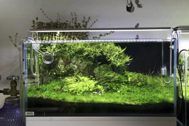 ĐÈN LED CHIHIROS A SERIA 901