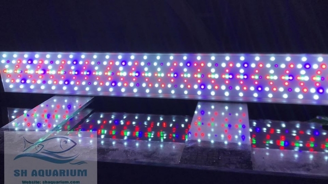 Đèn Led Week Phoenix WRGB 90Cm