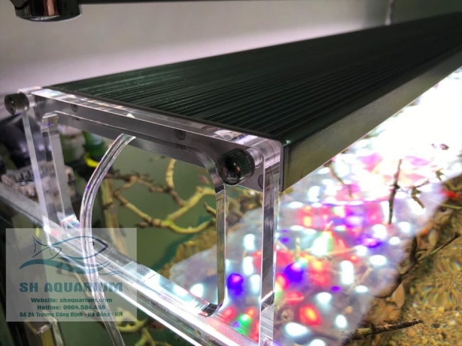 Đèn Led Week Phoenix WRGB 90Cm