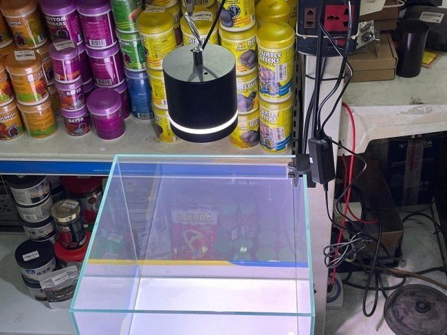 Đèn Led rọi Kaokui WRGB 24W 3 chế độ đổi màu