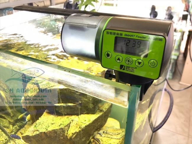 Máy cho cá ăn tự động Aqua Blue AF-2019B