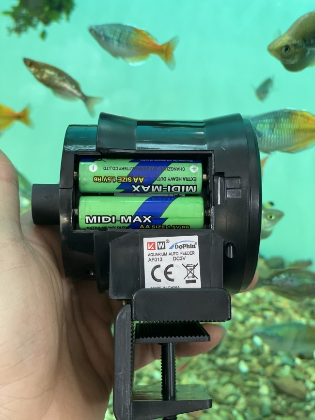Máy cho cá ăn tự động Dophin AF013