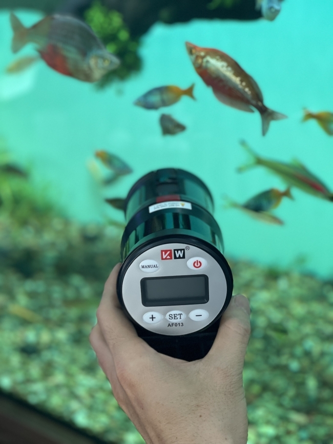 Máy cho cá ăn tự động Dophin AF013