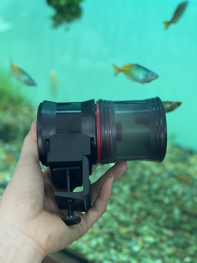 Máy cho cá ăn tự động Dophin AF013