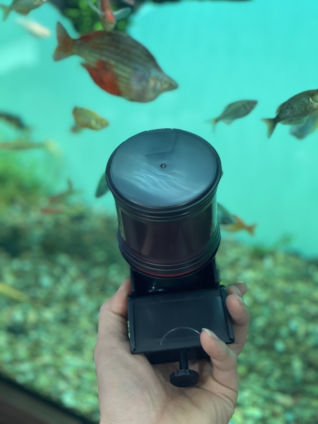 Máy cho cá ăn tự động Dophin AF013