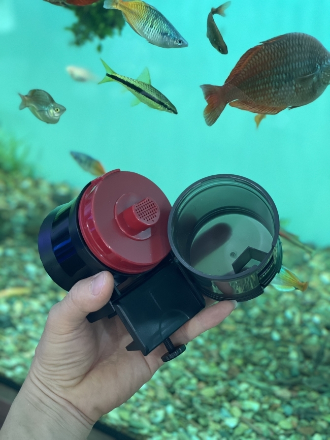 Máy cho cá ăn tự động Dophin AF013