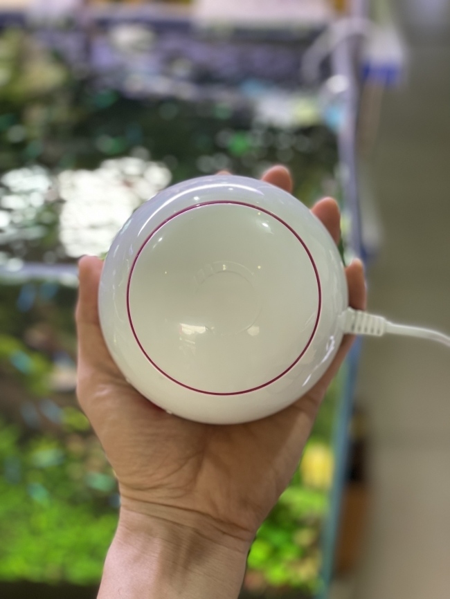 Máy sủi Oxy Dophin AP1502