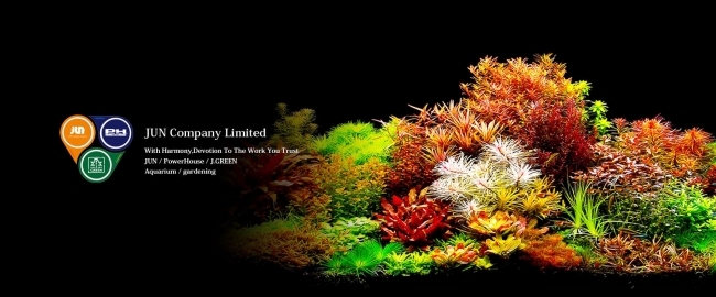 Phân nền Nhật Bản Master Soil 8lit