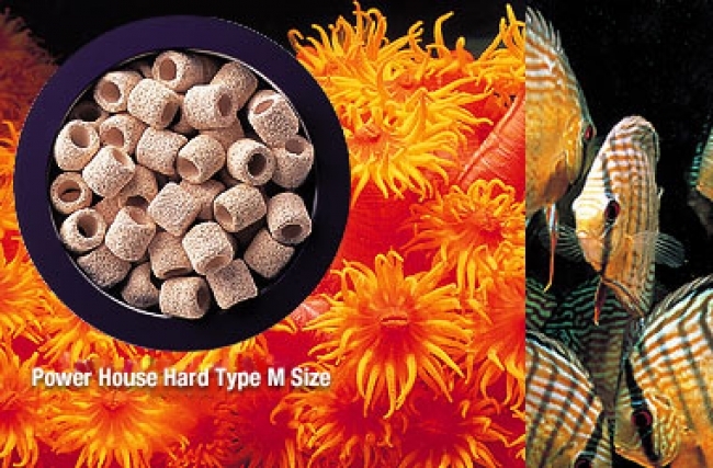 VẬT LIỆU LỌC CAO CẤP POWER HOUSE TYPE SOFT SIZE M Hộp 5LIT