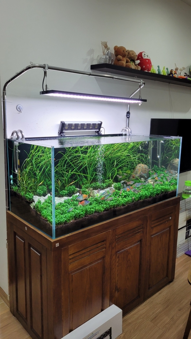 Quạt làm mát cho bể cá cảnh, bể thủy sinh hãng Marine