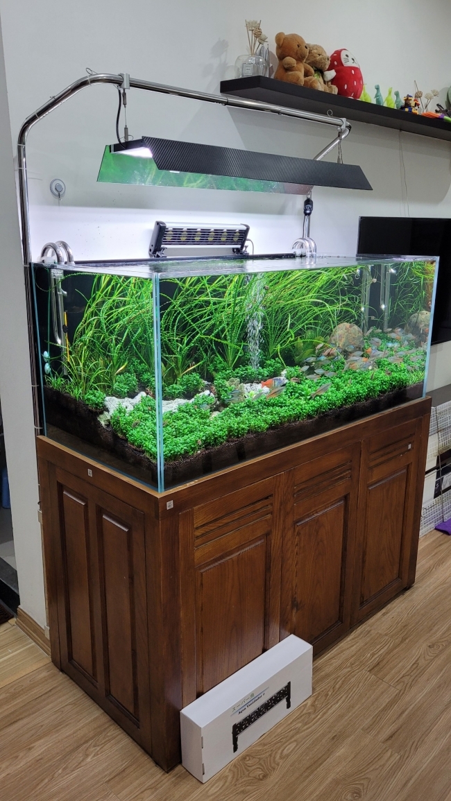 Quạt làm mát cho bể cá cảnh, bể thủy sinh hãng Marine