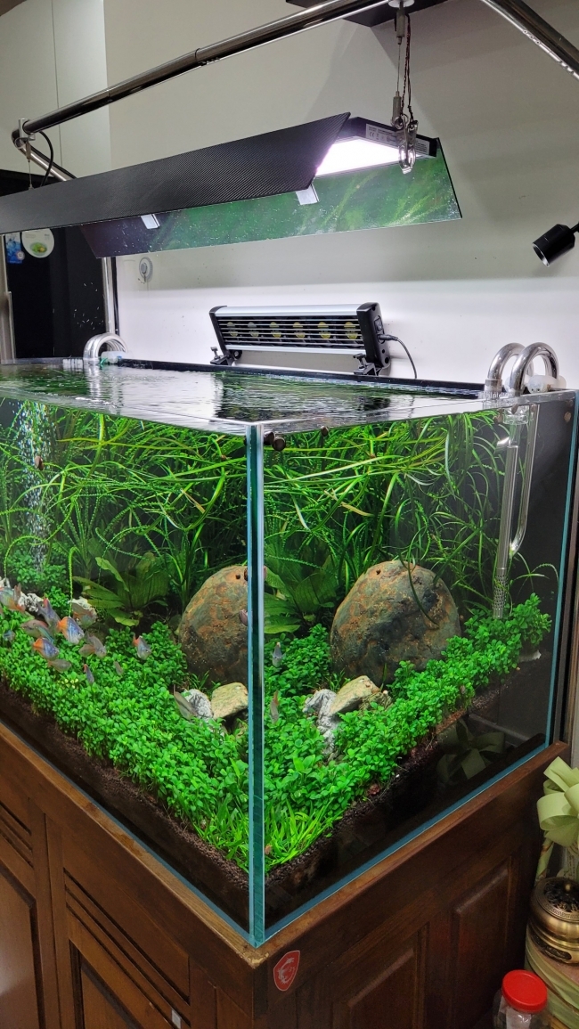 Quạt làm mát cho bể cá cảnh, bể thủy sinh hãng Marine