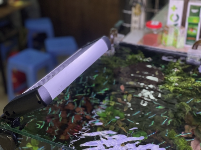 Quạt làm mát cho bể cá cảnh, bể thủy sinh hãng Marine