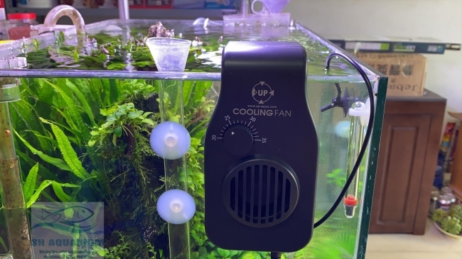 Quạt Làm Mát Up Aqua Có đầu dò nhiệt