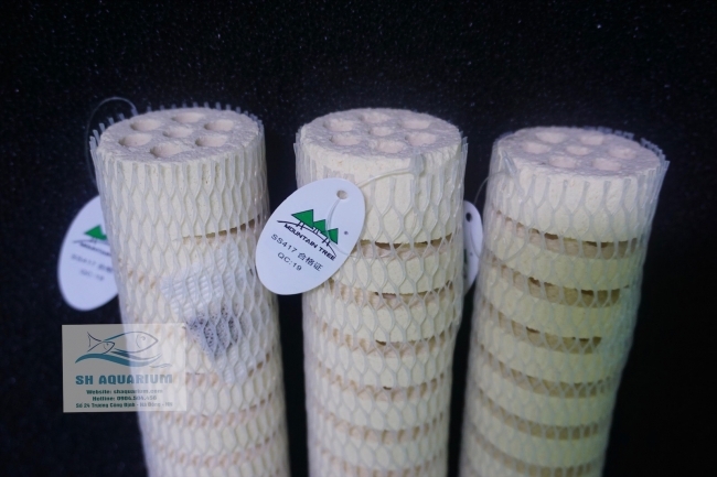 Sứ Xoắn Mountain Tree Lotus  Bacteria House