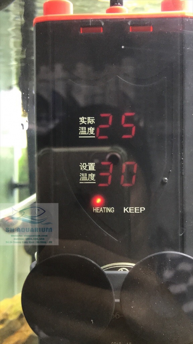 Sưởi Shengle 500W SL-666