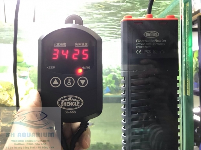 Sưởi Shengle 500W SL-668